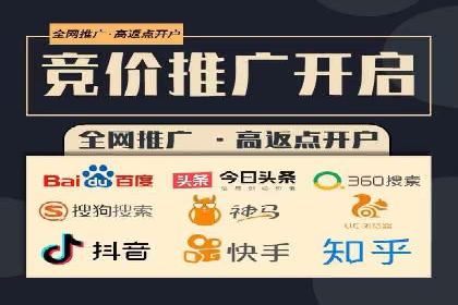 行业领先企业的SEM优化之路